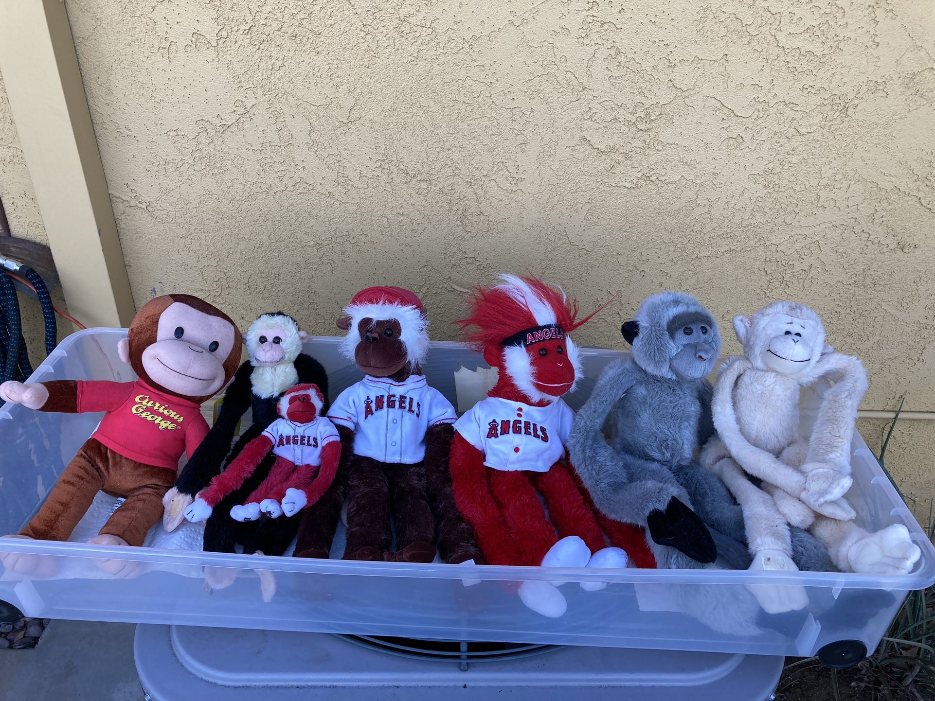 Rally monkeys (full bag!)