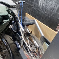 Free Roadmaster Bike