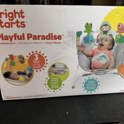 Bright Stars Baby Seat