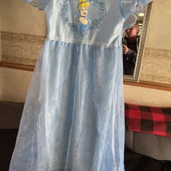 Disney Cinderella Costume 