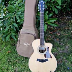 Taylor Guitar With Taylor Case