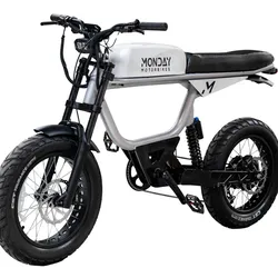 Anza v4 E-bike