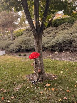 Mushrooms costume for Halloween