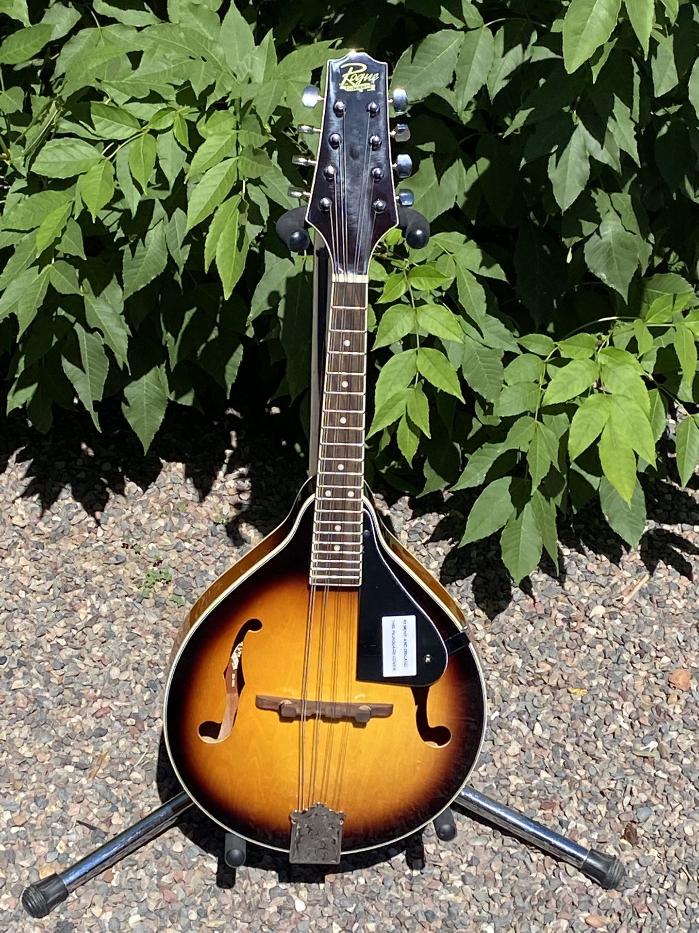 Rouge RM-100A Sunburst A Style (new in the box)