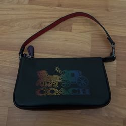 Small Cute Coach Purse