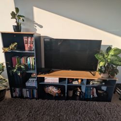 TV Stand and Bookcase
