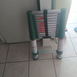 Compact Extension Ladder