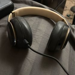 Beasts Studio 3