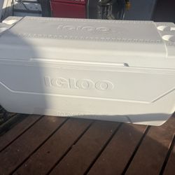 Igloo Cooler