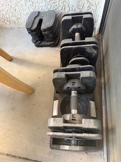 Bowflex dumb bells