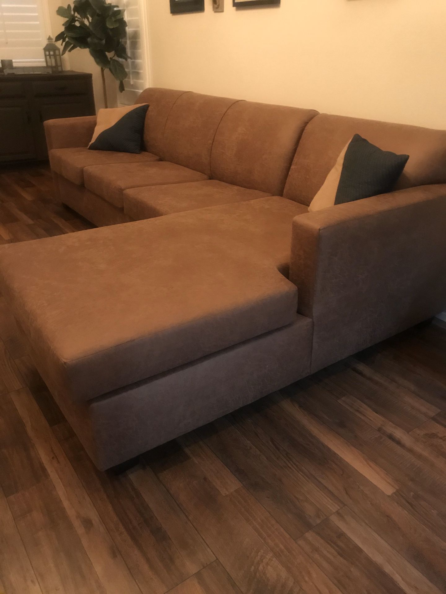 Couch with Sofa Bed