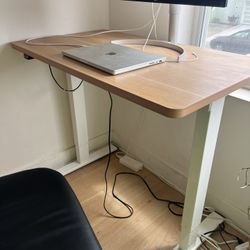Adjustable Standing Desk