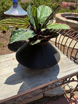 Fake Plant in Black Modern Planter