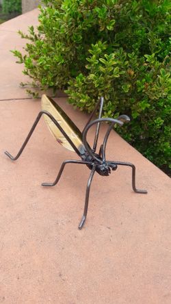 Grasshopper