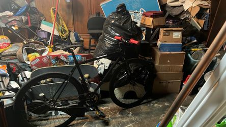 Golden Cycle Size 48cm