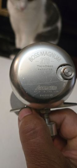 Accurate boss magnum 270