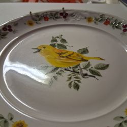 White Plate