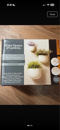 Wall plant pots