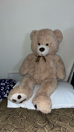 Teddy Bear 