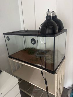 Terrarium and Stand