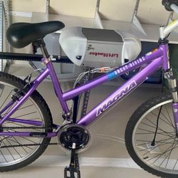 Good BIKE 