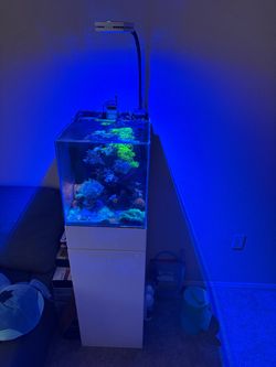 15 Gallon Fish Tank (WHITE STAND) JBJ