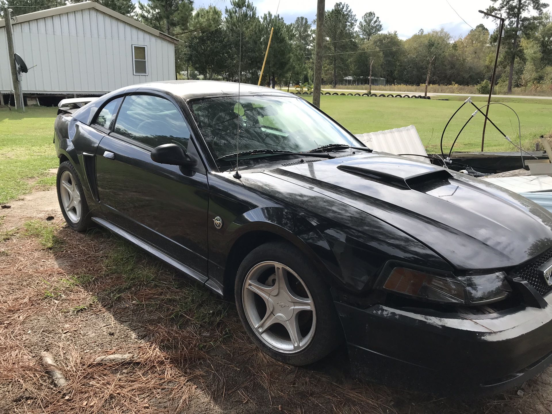 2004 Ford Mustang