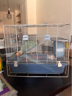 Hamster cage