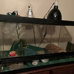 55 Gallon Reptile Tank + Accessories 