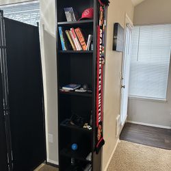 Ikea Billy Bookshelf 