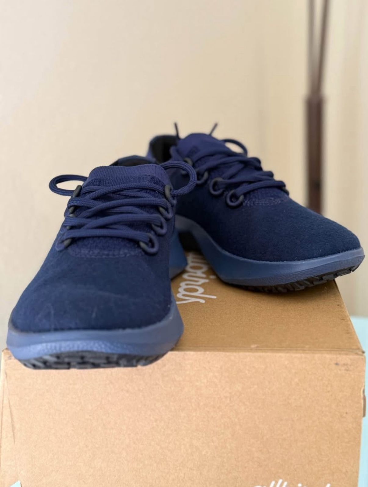 Allbirds Running Shoes