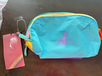 NWT Multicolor small accessory bag