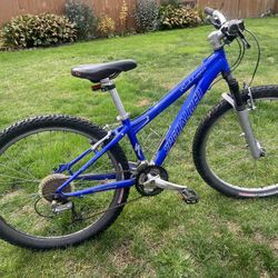 Rockhopper Mountain Bike