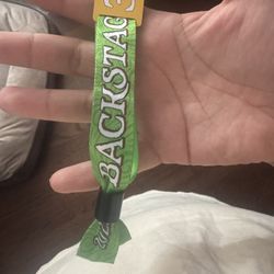 Summer Smash Backstage 