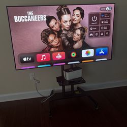 65 inch LG OLED TV with moving stand