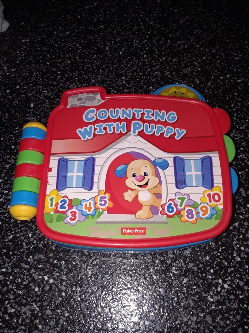 Kids counting with puppy book