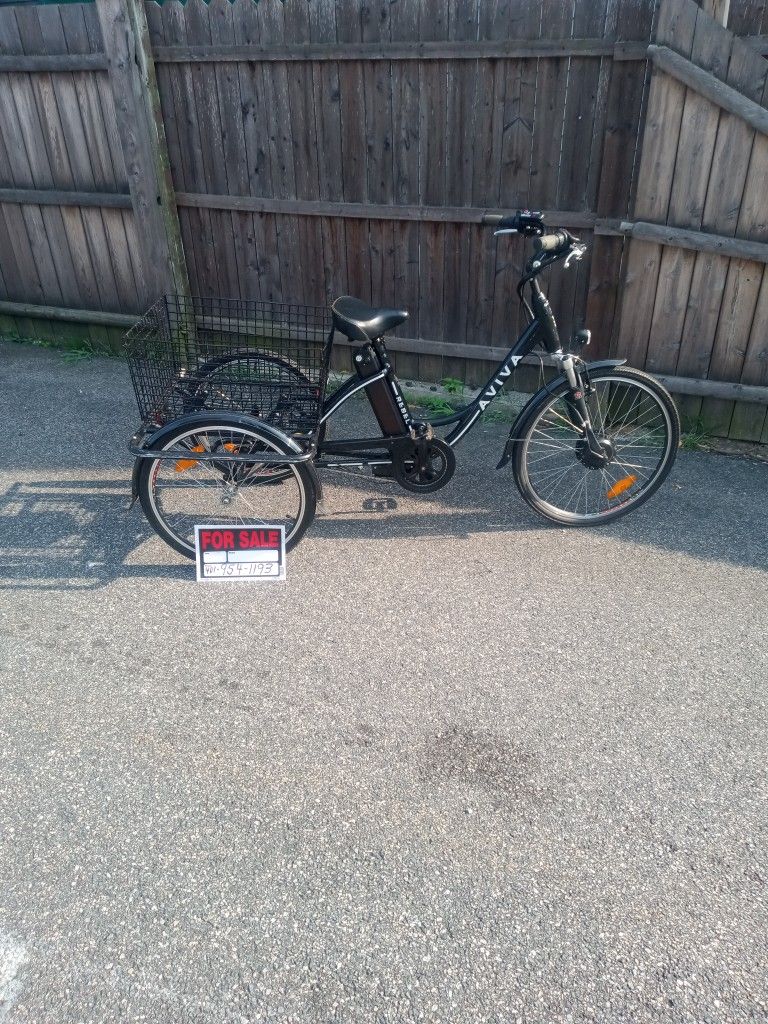 Aviva 3 Where Wheel Bike