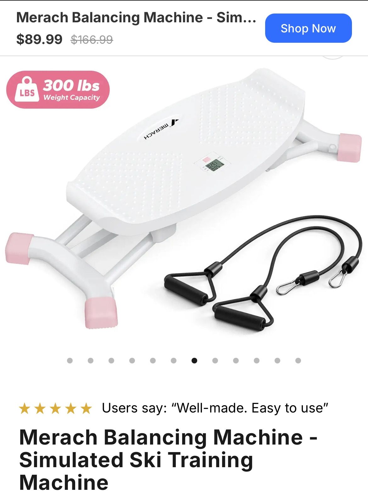 Balance Board Simulated Ski Training