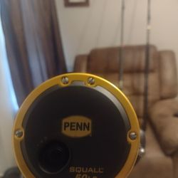 Deep Sea 40 Lb Set Up Rod And Reel