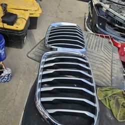 Bmw X5 G05 Grille Oem