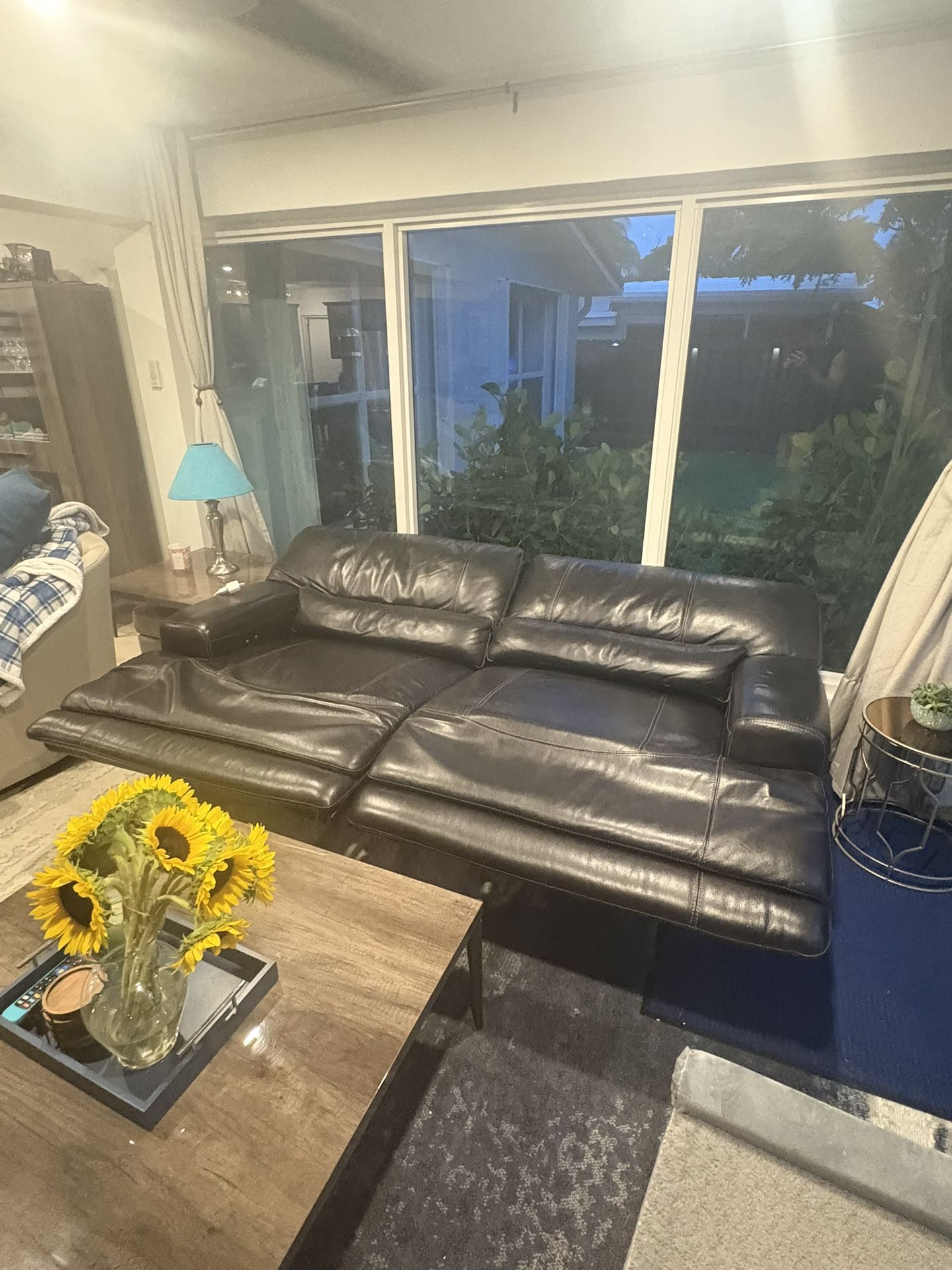 Dark Brown Leather Couch