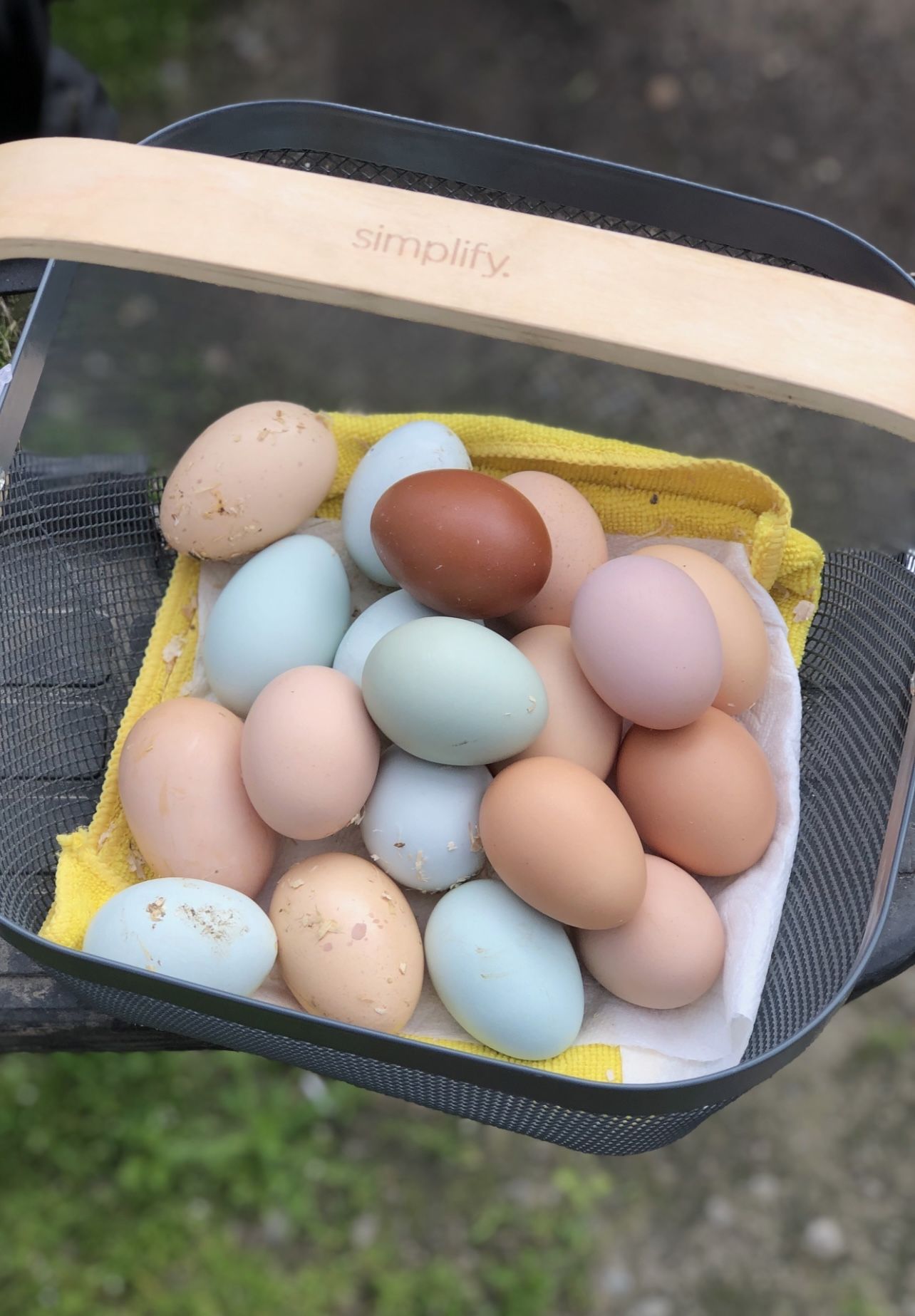 Eggs