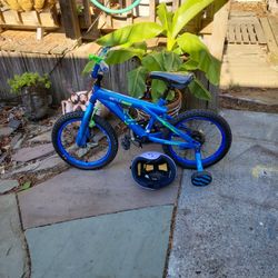 Rattle Snake Bike
