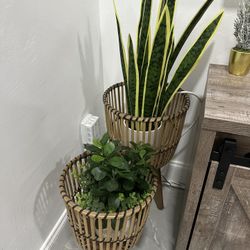 Set Of Plant Holders With Plants- PRICE IS NEGOTIABLE!!