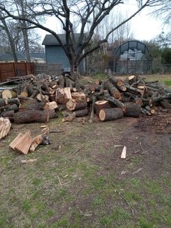 PECAN FIREWOOD FOR BBQ!