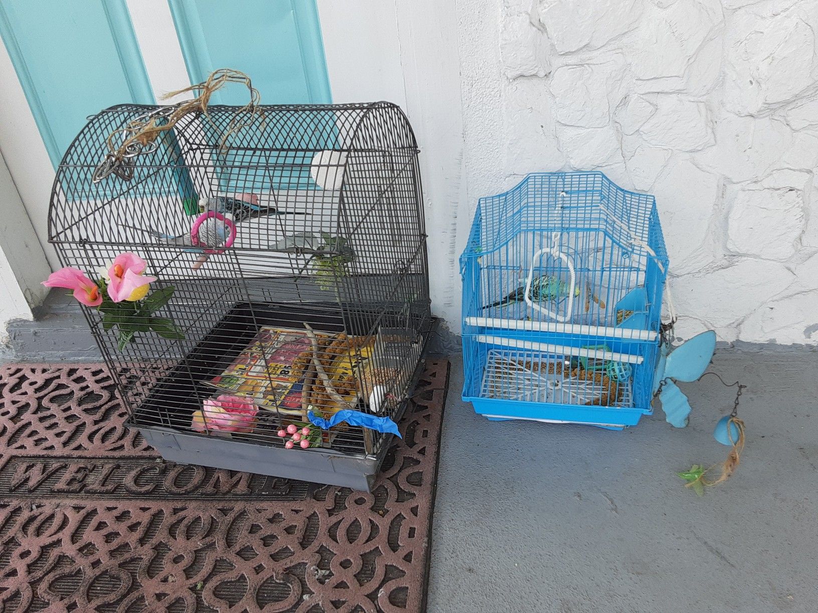 Bird cages 20$