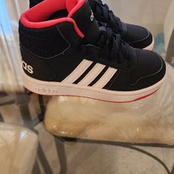 Adidas Shoes