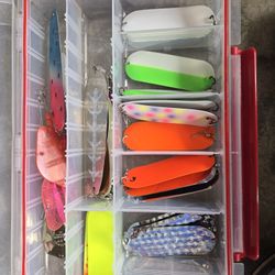 Trout/kokanee Dodgers1