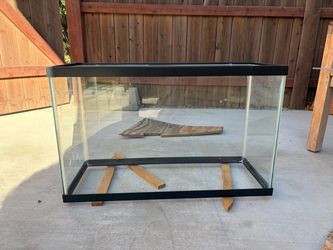 29 gallon trimmed fish tank