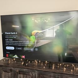 75in Hisense UHD A65 - slight damage